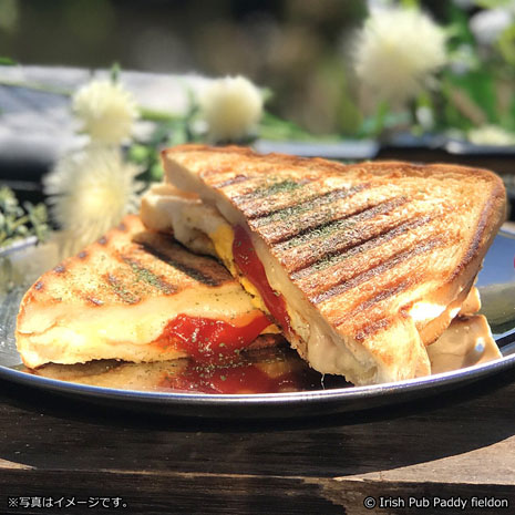 Irish Pub Paddy fieldo